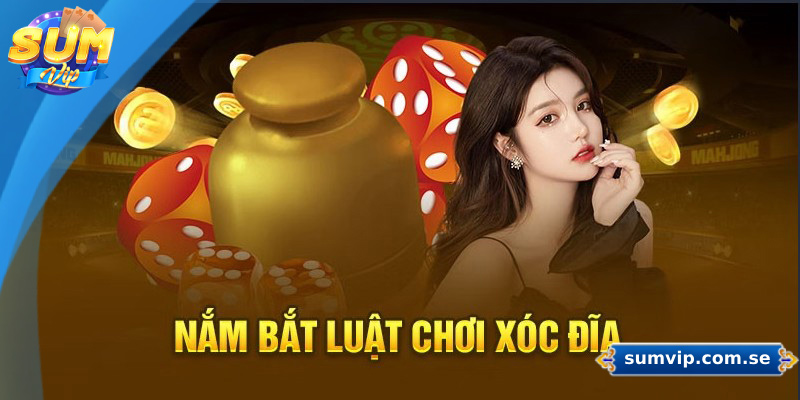 Giới thiệu luật chơi xóc đĩa cơ bản