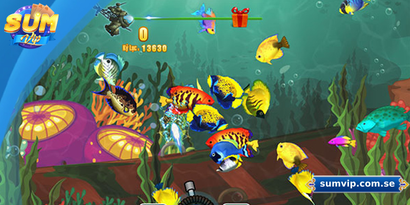 Hướng Dẫn Cách Chơi Bắn Cá Sumvip Dành Cho Người Mới 2 Hướng dẫn cách tham gia bắn cá Sumvip